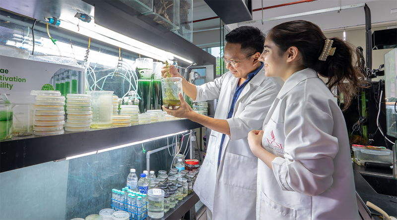 Research facilities and equipment