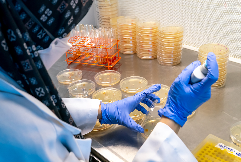 Research Newsletter
