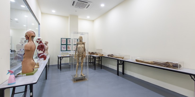 This Anatomy Museum contains 65 anatomy models and a palatinate cadaver, as well as a Cyber-Anatomy tool that provides a 3D study of the human anatomy using innovative technology.
