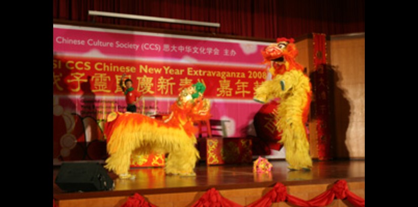 The Lion Dance performed by Chin Woo Association