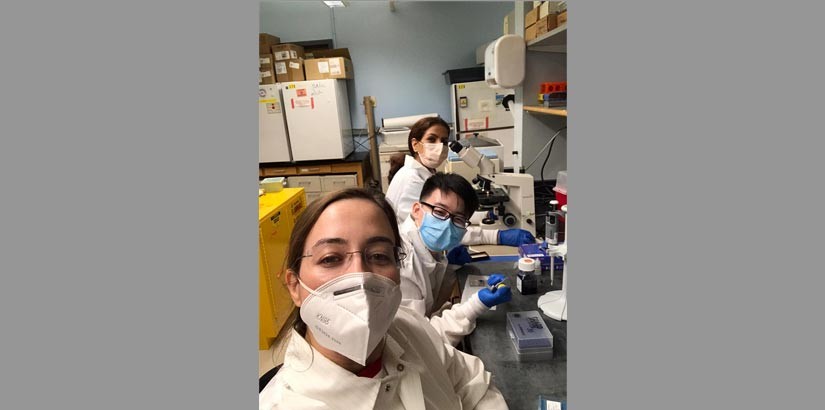 Desmond with his lab mates, Dr Ezgi (front) and Dr Shadi doing their research on cells (Zona Glomerulosa) at Harvard Medical School