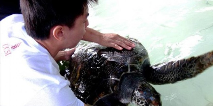 Taking Jo the sea turtle out for hand-feeding. Jo was born blind with no eyes and would not be able to survive on her own without aid.