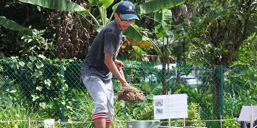 Gardening with a purpose.