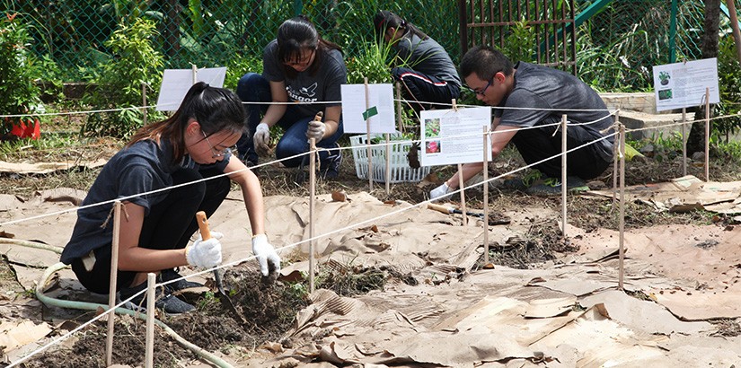 Gardening together.