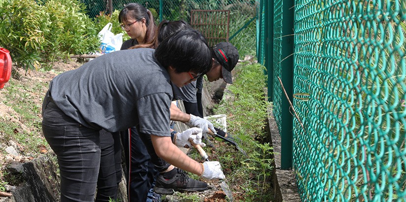 Hard at work in the garden.