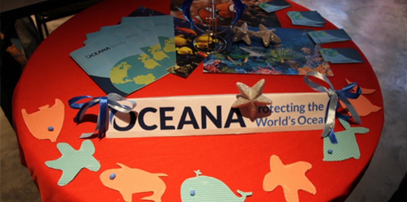  [PROTECT THE OCEAN]: A brochure design for international ocean conservation organisation, Oceana, by the students to help raise awareness for marine life.