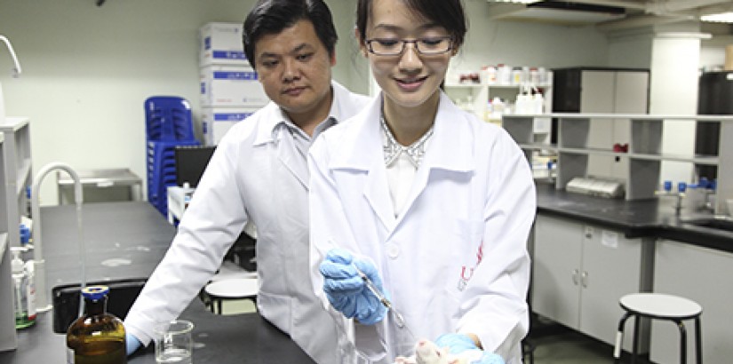  QUALITY RESEARCH: P’ng feeding a rat extracts from the Sabah snake grass to analyse the toxicity of this popular herb believed to treat cancer as her supervisor Assoc Prof Dr Chin looks on.