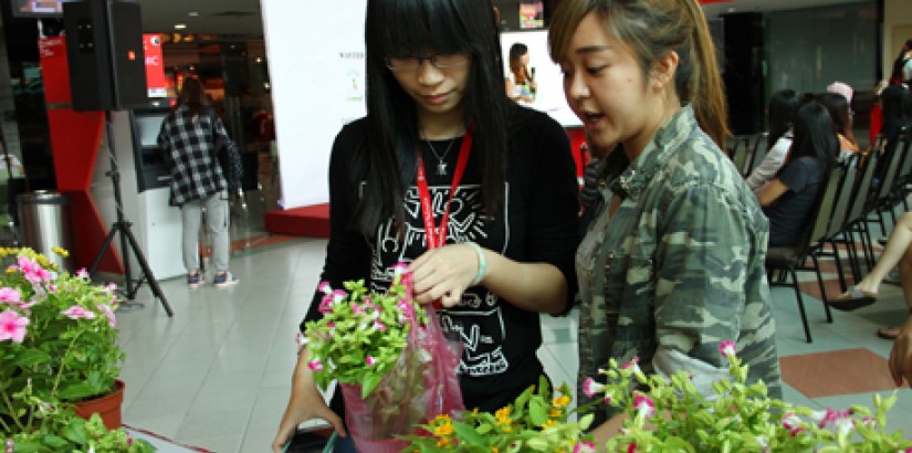  PLANT ADOPTION: One of the main attractions of the Campaign is the Adopt-A-Plant booth.