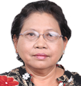 Associate Professor Dr. Nyein Nyein Wai