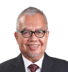 Professor Dato’ Dr Ahmad Bin Ibrahim
