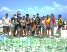  Students having an eagle eye view of the marine turtles nest adoption