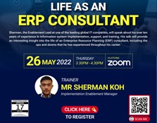 Life as a ERP Consultant