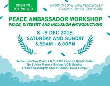 Peace Ambassador Workshop